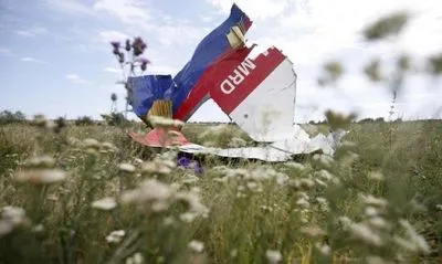 Парламент Нидерландов признал вину России за крушение МН17