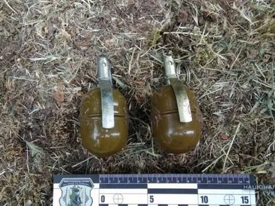 У посетителя магазина в Николаеве обнаружили три гранаты