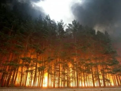 Украинцев предупредили о риске лесных пожаров