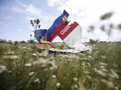 Уряд Нідерландів: Україна не несе відповідальності за трагедію MH17