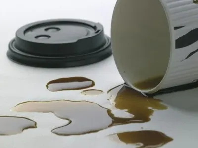 Премьер-министр Нидерландов собственноручно помыл пол после разлитого кофе