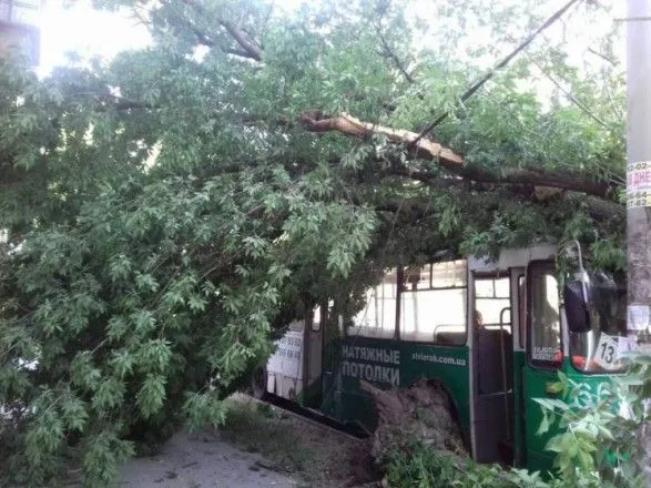 В Запорожье дерево упало на троллейбус