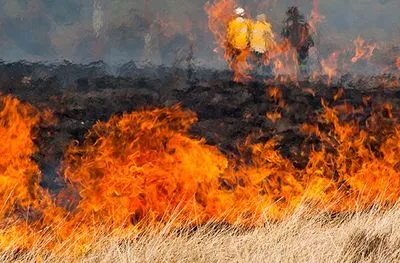 В Украине объявленсамый высокий уровень пожарной опасности