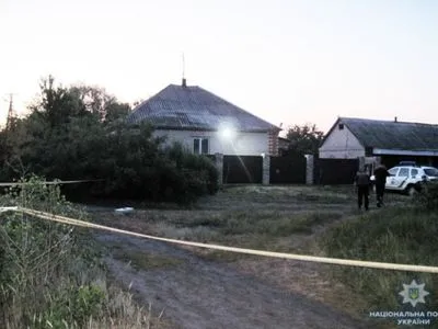 Невідомі кинули три гранати на приватне подвір'я на Донеччині