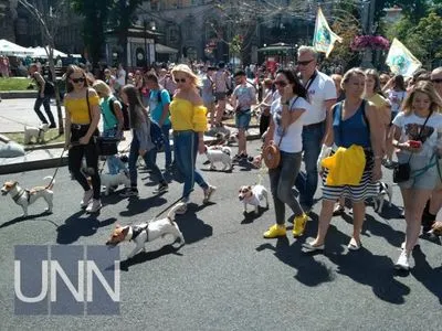 В Киеве прошел парад собак породы Джек-рассел