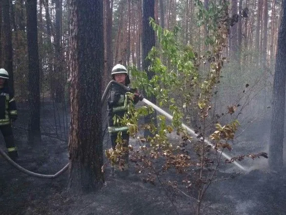 Пожар в лесопарковой зоне в Киеве удалось локализовать