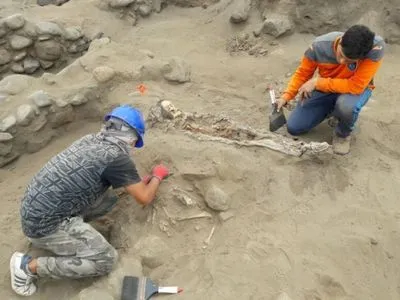 У Перу знайшли ритуальне поховання десятків дітей