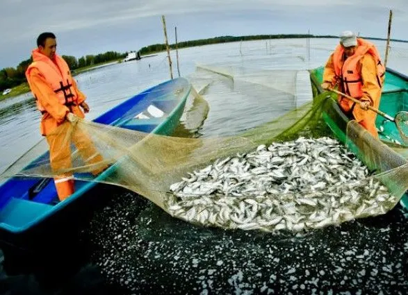 Россия захватила до 90% рыболовецких ресурсов Украины в Черном море