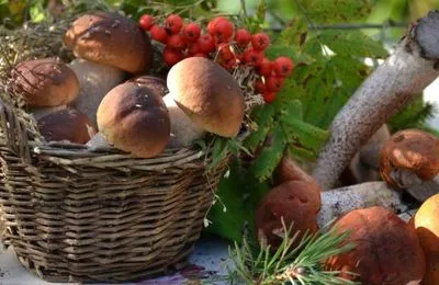 В Луганской области грибами отравились шестеро взрослых и двое детей