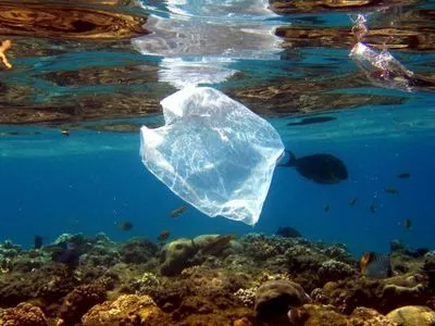 Генсек ООН призвал G7 взяться за борьбу с пластиком