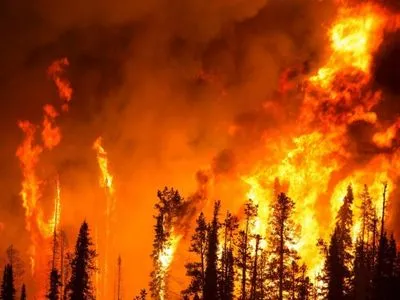 В России бушуют лесные пожары в 11 регионах