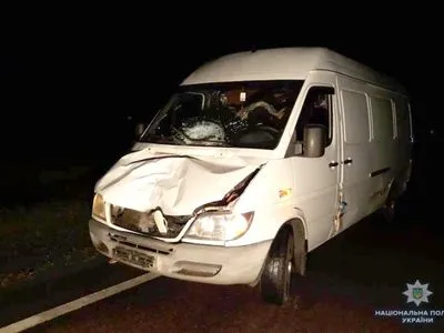 На Вінниччині мікроавтобус на смерть збив людину
