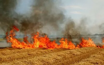 До выходных в Украине продержится высокий уровень пожарной опасности