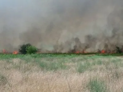 В Херсонской области произошел масштабный степной пожар