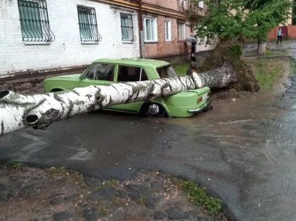 Злива у Вінниці затопила вулиці та повалила дерева