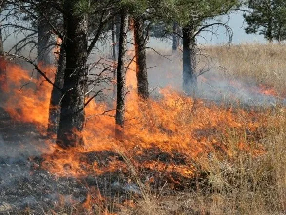 В Укргидрометцентре предупредили об экстремальной пожарной опасности