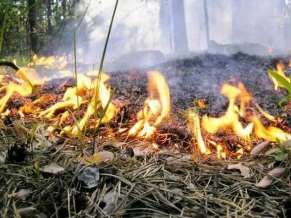 В Украине до пятницы сохранится чрезвычайная пожароопасность