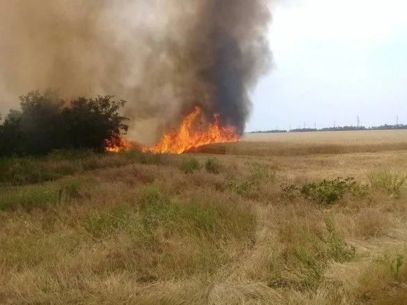 На Миколаївщині вигоріло декілька гектарів пшеничного поля