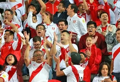 Российский самолет с футбольными фанатами Перу задымился в воздухе