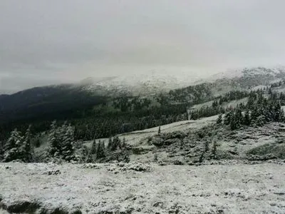 На Закарпатье лагерь засыпало снегом: спасатели рассказали о состоянии детей