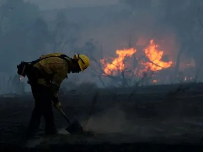В Калифорнии бушуют лесные пожары