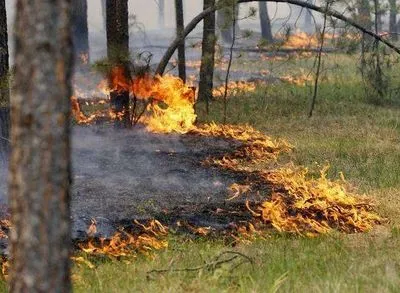 Високий рівень пожежонебезпеки очікується у Чорнобилі