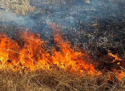 На півдні України на вихідних утримається надзвичайна пожежонебезпека