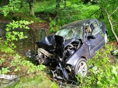 Под Житомиром авто врезалось в дерево: пострадавших вырезали из машины