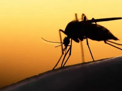 Один человек заболел малярией в Кировоградской области