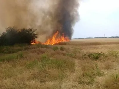 Синоптики предупредили о пожарной опасности в пяти областях