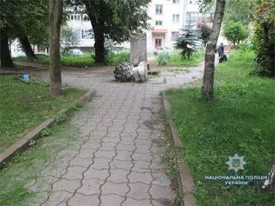Полиция установила причины разрушения памятника Пушкину во Львовской области