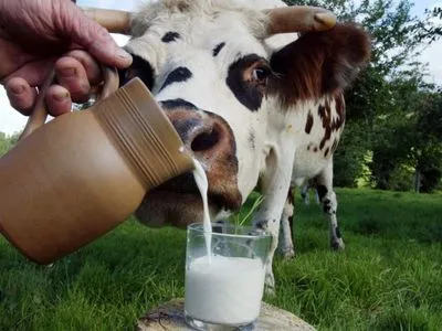 Мінагрополітики: закупівля молока у населення триватиме до 2022 року
