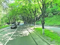 С 15 июля в Киеве начнется реконструкция Парковой дороги