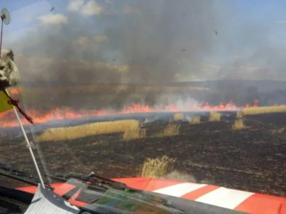 На Полтавщині багаття випалило понад 40 га пшеничного поля