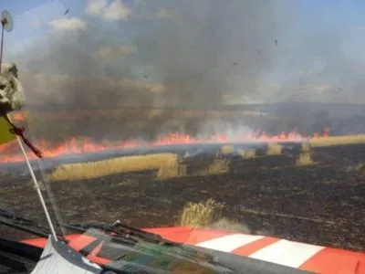 В Полтавской области огонь уничтожил более 40 га пшеничного поля