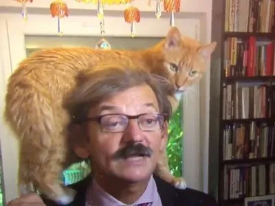 Рыжий кот залез на плечи польского историка во время интервью