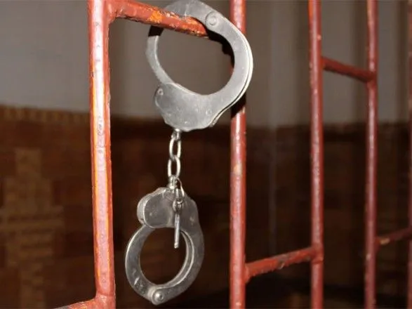 Шофера, который задавил 10-летнюю девочку в Борисполе, привлекли к суду
