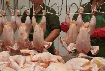 Єврокомісія прогнозує збільшення експорту м'яса птиці