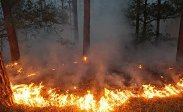 Надзвичайний рівень пожежної небезпеки очікується в Україні