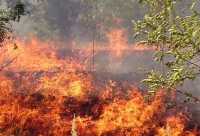 В Украине объявили чрезвычайный уровень пожароопасности