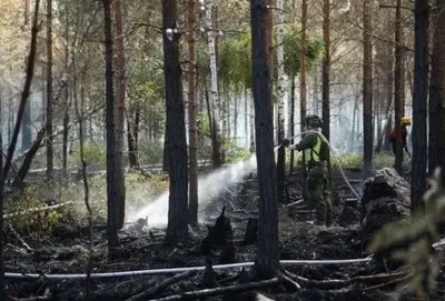В центральной Швеции бушуют самые большие за всю историю страны лесные пожары
