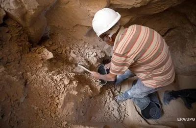 Жуткая находка: в Египте раскопали около 8 миллионов мумий животных