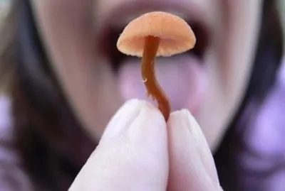 Пенсионерка во Львовской области отравилась грибами