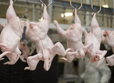 Україна потрапила в трійку світових лідерів з експорту м'яса птиці в ЄС