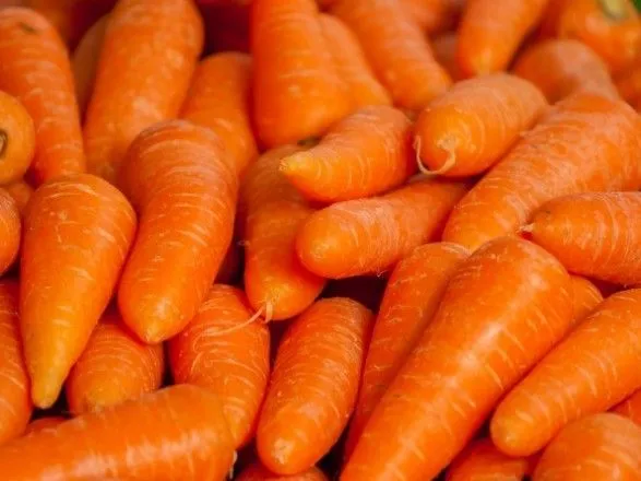 На Миколаївщині “зайці” вкрали понад 300 кг моркви