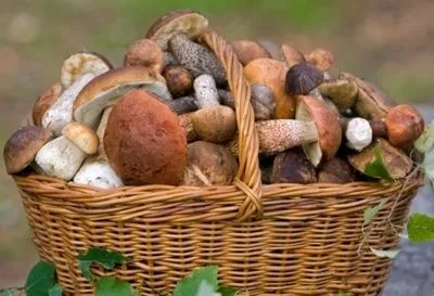В Одесской области многодетная семья отравилась грибами