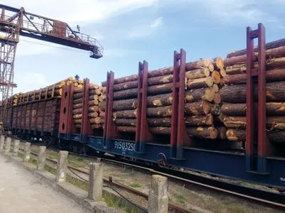 За півроку митники виявили порушень при експорті лісу на 35 млн грн