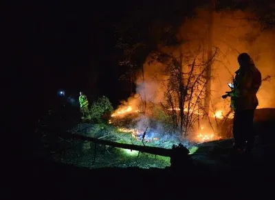 Лісові пожежі у Швеції: вісім країн відправили рятувальників на допомогу