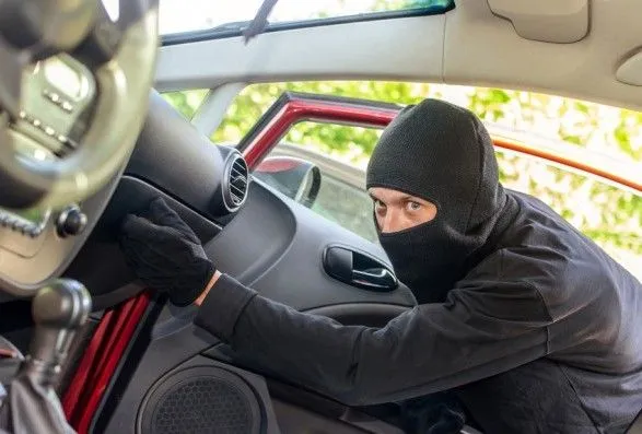Нардеп стала жертвою крадіжки з автомобіля