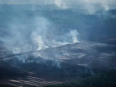 Лісові пожежі в Латвії: знайдено ознаки підпалу